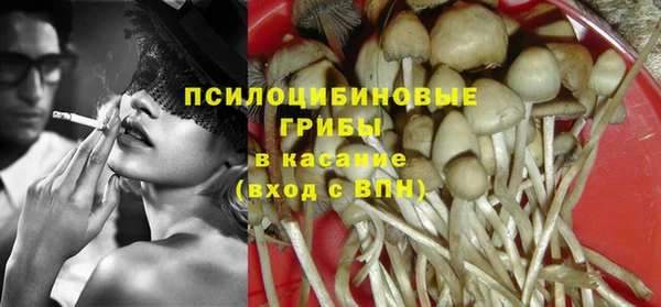 прущие крисы Белоозёрский