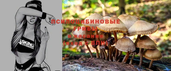 дмт Беломорск