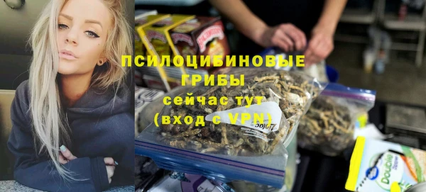МДПВ Белокуриха