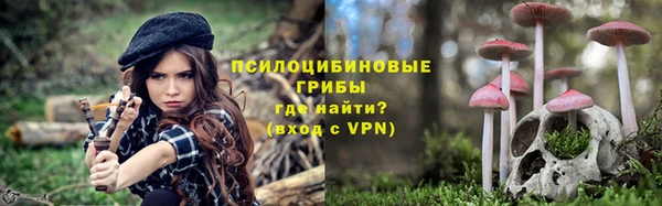 МДПВ Белокуриха